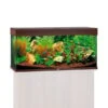 Juwel Rio 180 LED Komplett Aquarium Ohne Schrank 1 Juwel Rio 180 LED Komplett Aquarium Ohne Schrank -Fische Als Haustiere juwel Rio 180 led sbx ohne schrank dunkles holz58fe09c4a9a8f