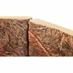 Juwel Motivrückwand Cliff Dark 14 Juwel Motivrückwand Cliff Dark -Fische Als Haustiere juwel motivruckwand cliff dark 5