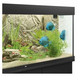 Juwel Motivrückwand Cliff Light 12 Juwel Motivrückwand Cliff Light -Fische Als Haustiere juwel motivruckwand cliff light 1