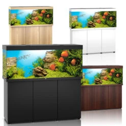 Juwel Rio 450 LED Komplett Aquarium Mit Unterschrank SBX 13 Juwel Rio 450 LED Komplett Aquarium Mit Unterschrank SBX -Fische Als Haustiere juwel rio 450 led sbx kombination alle