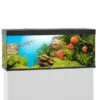 Juwel Rio 450 LED Komplett Aquarium Ohne Schrank 1 Juwel Rio 450 LED Komplett Aquarium Ohne Schrank -Fische Als Haustiere juwel rio 450 led sbx ohne Schrank schwarz