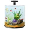 Tetra AquaArt Explorer Line Halfmoon Komplett-Set 60l 1 Tetra AquaArt Explorer Line Halfmoon Komplett-Set 60l -Fische Als Haustiere tetra aquaart explorer line halfmoon komplett set 60l anthrazit 2