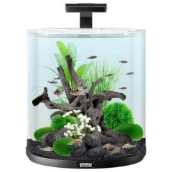 Tetra AquaArt Explorer Line Halfmoon Komplett-Set 60l 11 Tetra AquaArt Explorer Line Halfmoon Komplett-Set 60l -Fische Als Haustiere tetra aquaart explorer line halfmoon komplett set 60l weiss 2