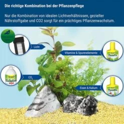 Tetra CO2-Optimat 11 Tetra CO2-Optimat -Fische Als Haustiere tetra co2 optimat 5
