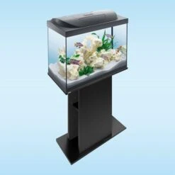 Tetra Starter Line LED Aquarium 80L 12 Tetra Starter Line LED Aquarium 80L -Fische Als Haustiere tetra starterline led 80l 5ThYJNijn1f1VN