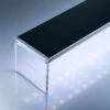 TWINSTAR LED LIGHT III Clear Type EC 2 TWINSTAR LED LIGHT III Clear Type EC -Fische Als Haustiere twinstar led III