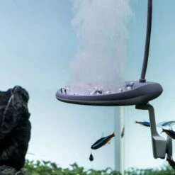 Fische Als Haustiere -Fische Als Haustiere twinstar sterilisierer60cc86ca58303